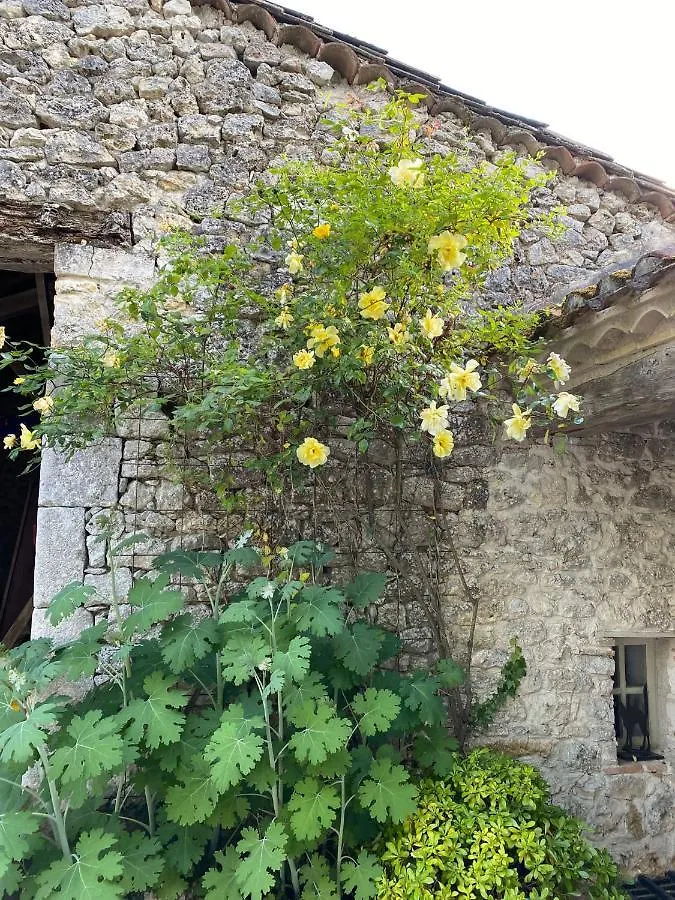 Gite Les 3 Toitures Ecogite Le Luquet Saint Beauzeil 82